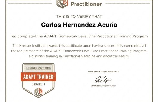 Adapt Framework Level One Practitioner Training Program